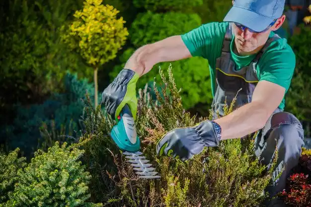 landscaping services Forsyth